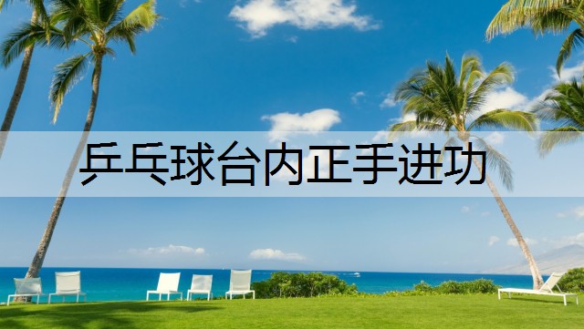 乒乓球台内正手进功 乒乓球台内正手进功